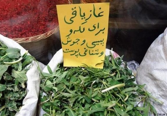 خواص غازیاقی برای درمان برص