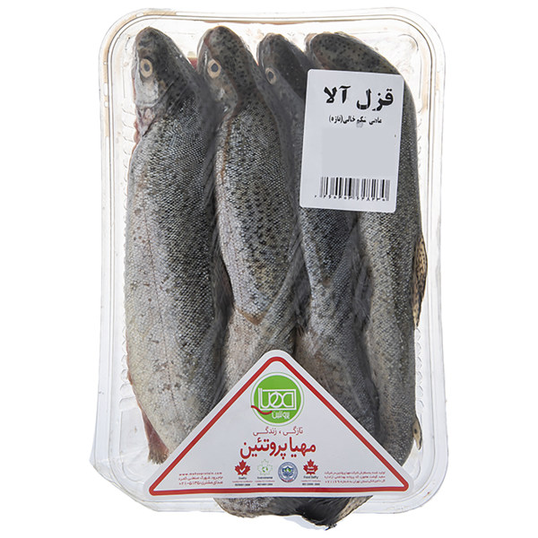خرید فوری ماهی قزل آلا شکم خالی مهیا پروتئین مقدار 1000 گرم